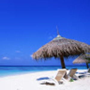 Meet your Posher, Arlene